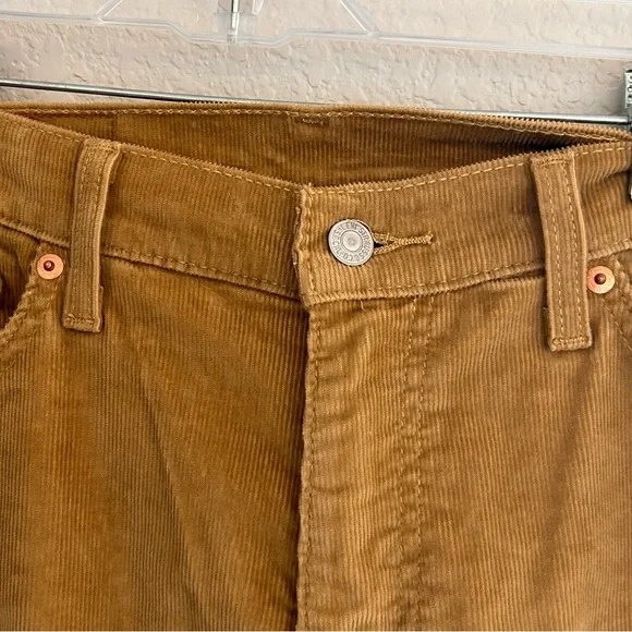 Men's Brown Corduroy Pants - Picture 2 of 4